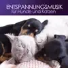 Entspannungsmusik Culture - Entspannungsmusik für Hunde und Katzen